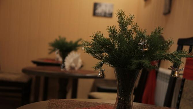 Datis - фото (4641-46726)