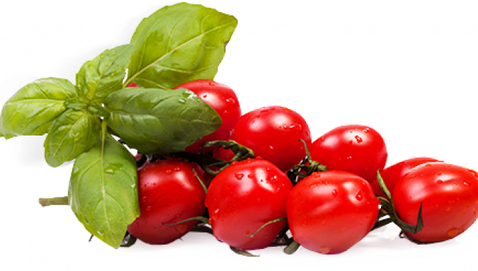 grandpizza - фото (748-3137)