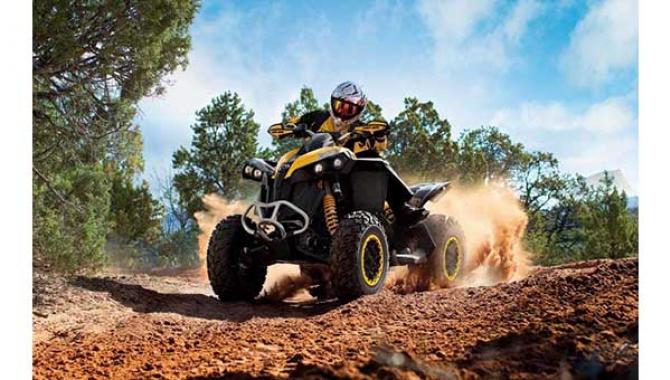 Экстрим-парк "X-Park" - фото (1247-6908)