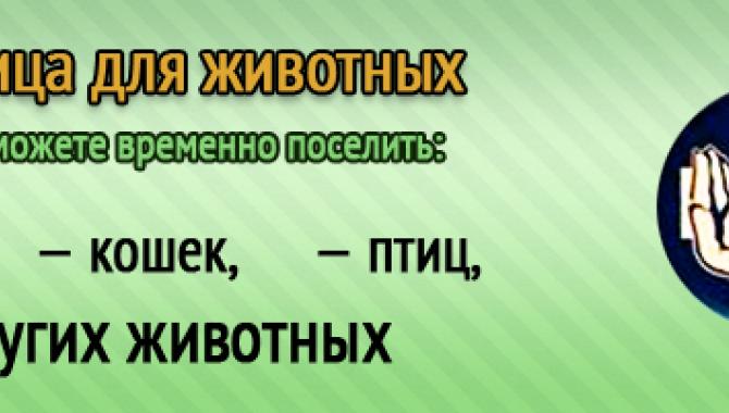 Ветпланета - фото (703-2849)