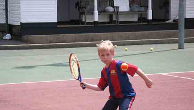 Теннисный клуб Динамовец - фото (1155-6353)