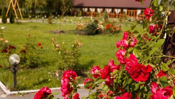 Бабай Садыба - фото (6397-41511)