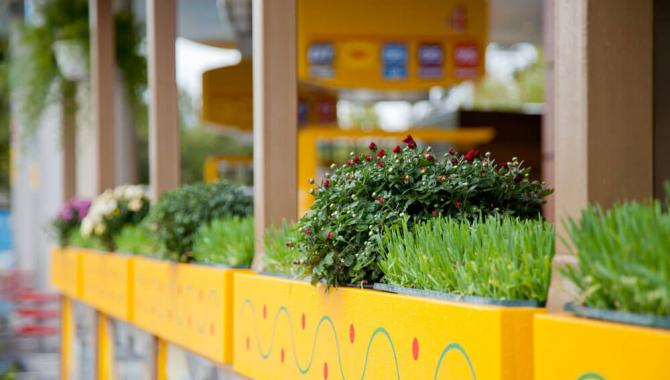 БОРЩ - фото (4906-39972)