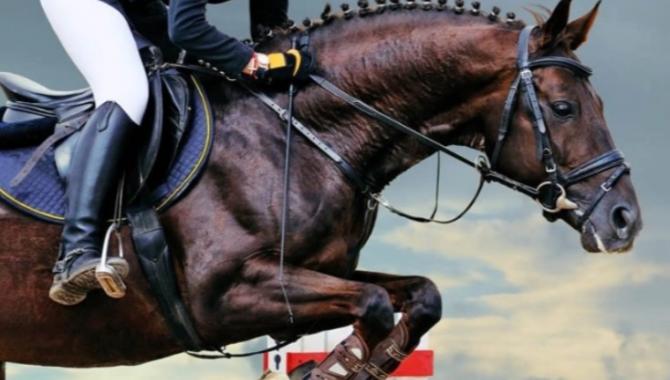 koni.ua - фото (10404-55516)