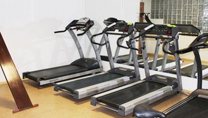 Спортивно-оздоровчий Клуб Крепкий Орешек - фото (1137-6232)