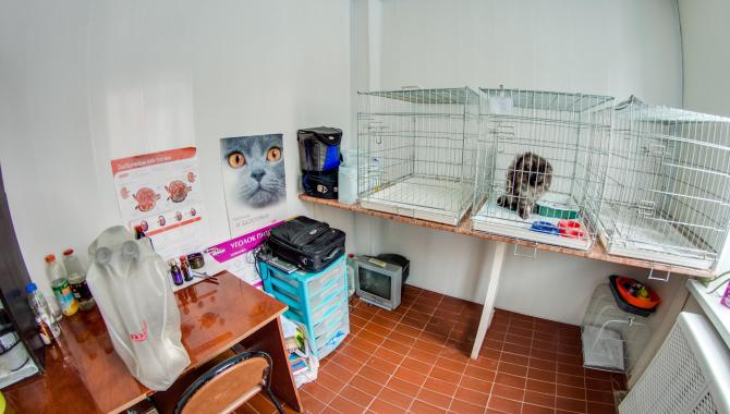 Альфа - фото (639-2418)