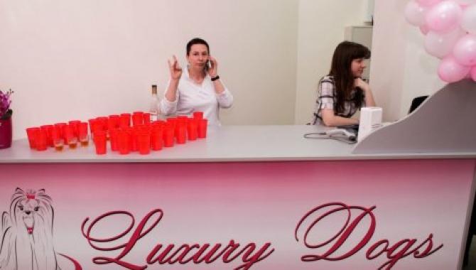 Luxury Dogs - фото (810-3476)