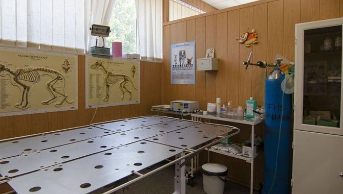 StatusVet - фото (636-2399)