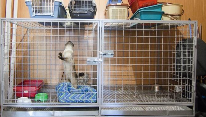 StatusVet - фото (636-2400)