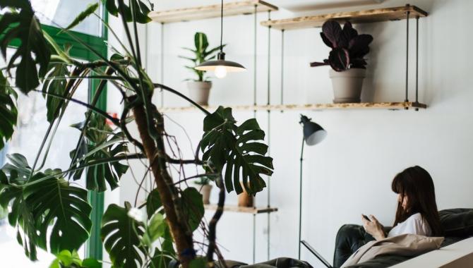 Blur Coffee - фото (3867-39528)