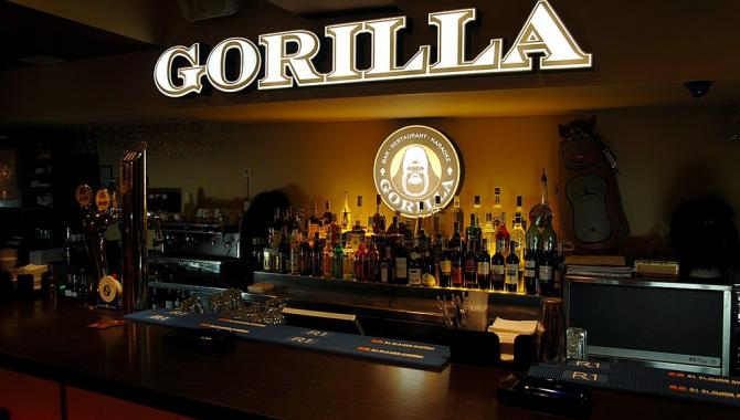 Gorilla - фото (4928-46351)