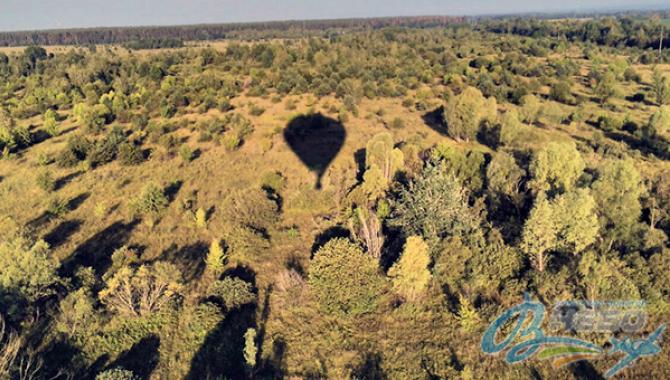 Полет на воздушном шаре от агенции полетов В небо - фото (1189-6561)