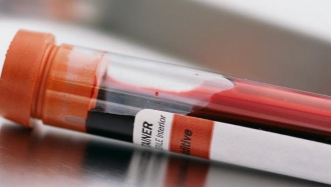 Борис - фото (916-4169)