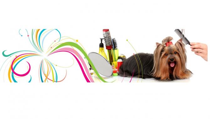 БЕЛКА СТРЕЛКА - фото (811-3481)