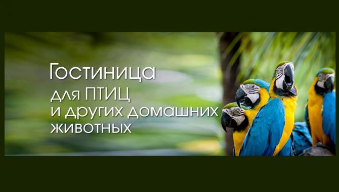 Гостиница для животных "Зоохобби" - фото (802-3443)