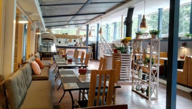 Rocka Rabbit - фото (5000-47478)