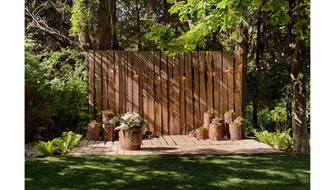 Фотостудия InLight - фото (1484-8058)