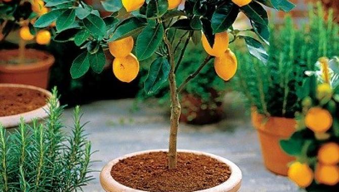 РостМаркет - фото (7594-49227)