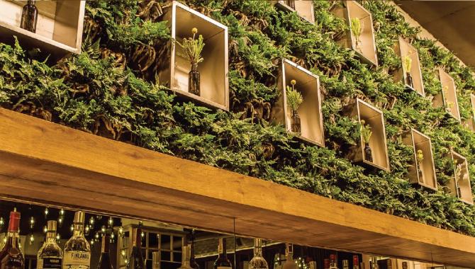 Yolo - фото (6228-42379)