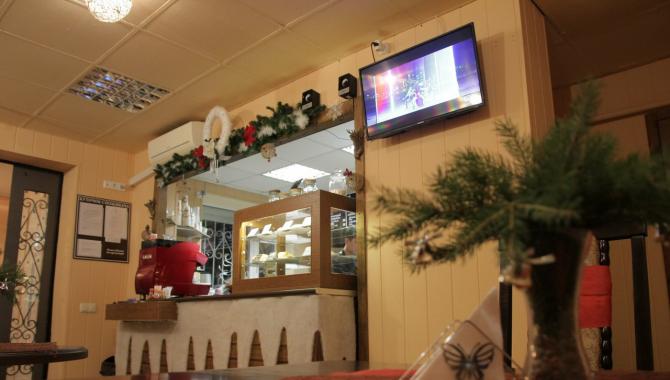 Datis - фото (4641-46729)