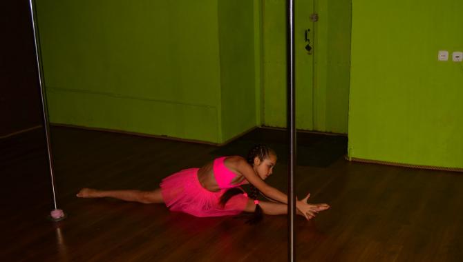 Terola Pole Dance Class - фото (7388-43083)