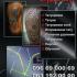 Tattoo Makers  - фото (7976-50798)