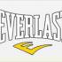 Everlast  - фото (10060-54740)